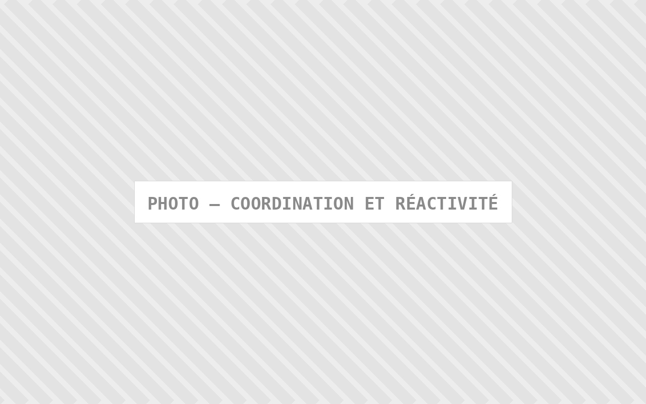Photo : Coordination Et Reactivite — Comfort Gateway (image à remplacer)