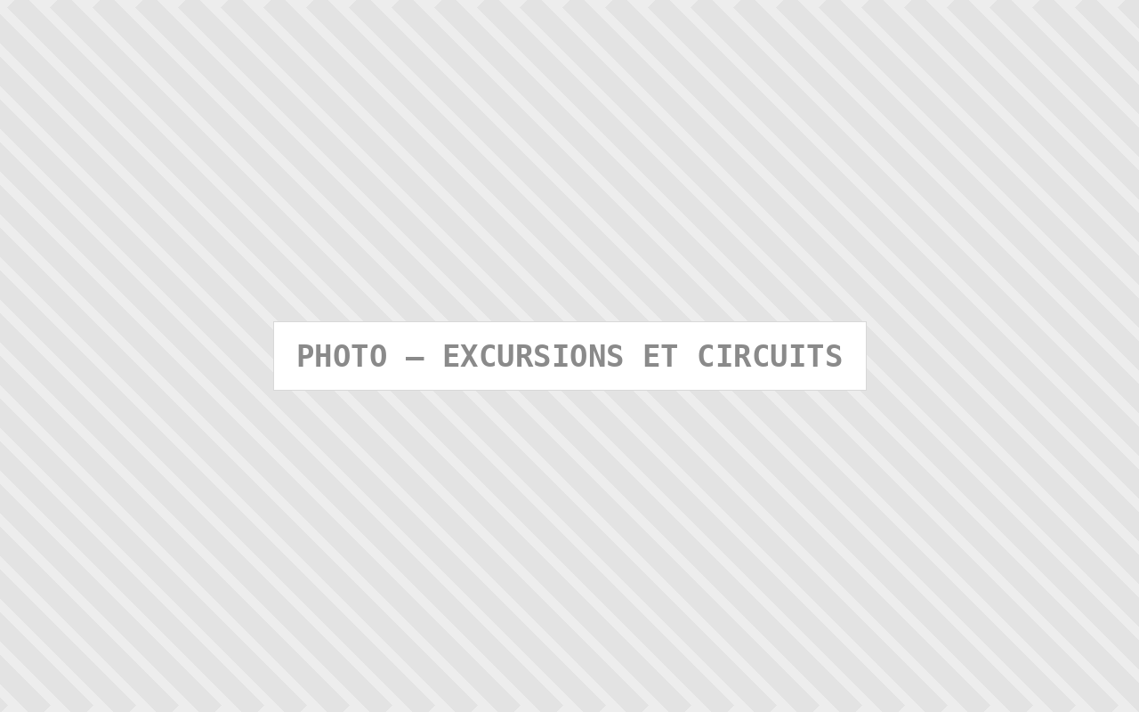 Photo : Excursions Et Circuits — Comfort Gateway (image à remplacer)