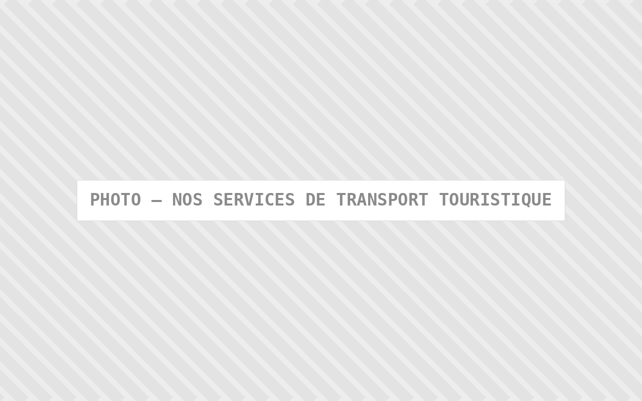 Photo : Nos Services De Transport Touristique — Comfort Gateway (image à remplacer)